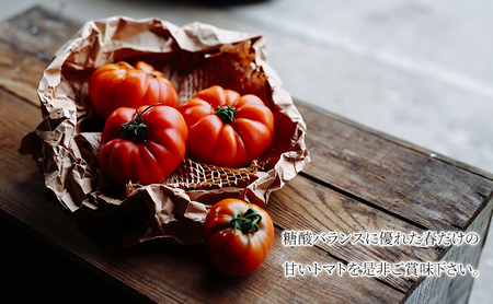 【2025年6月発送】SOGA FARM　金筋トマト 2025年 先行予約 トマト 野菜 とまと 新潟 