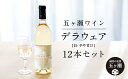 【ふるさと納税】五ヶ瀬ワイン デラウェア（白・やや甘口） 720ml 12本 五ヶ瀬ワイナリー ワイン 白ワイン 柑橘系 肉料理 国産 宮崎 五ヶ瀬町 五ヶ瀬町産ぶどう100％