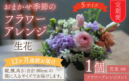 【定期便１２回】おまかせ季節のフラワーアレンジ（生花）Ｓサイズ ×１２ヶ月【母の日申込期日：4/26（日）まで】【母の日発送予定日：～5/11（月）まで】お好み、着日指定可能　[I-036001]