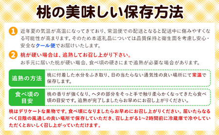 黄金桃 6玉 【配送不可地域あり】桃