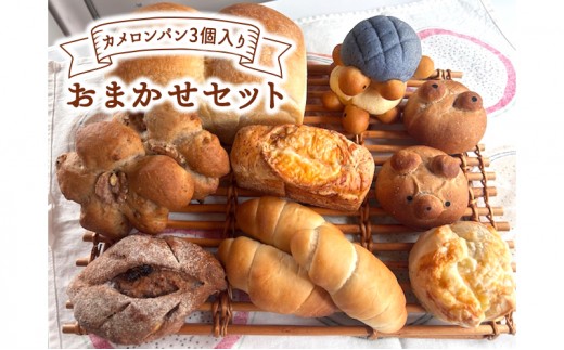 
                  カメロンパン3個入り おまかせパン セット【食パンなし・あこ酵母食パン入・薬膳食パン入】 
                