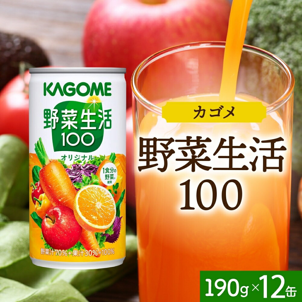 【ふるさと納税】 野菜生活100 オリジナル 190g×12 缶 野菜ジュース 果実 ミックスジュース オリジナル フルーティー β-カロテン KAGOME 送料無料