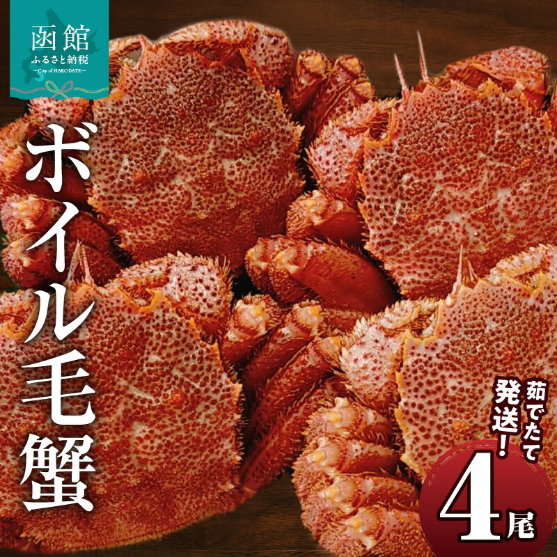 【ふるさと納税】茹でたて発送！ボイル毛蟹4尾 かに 蟹 ボイル 茹でたて 北海道 函館市 送料無料