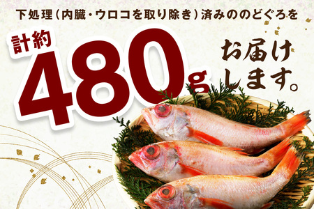 山陰浜田 香住屋の「のどぐろ」煮付け・塩焼き用（3～4尾） 魚介類 のどぐろ 煮付け 塩焼き 下処理済み のどくろ 【024_1982】
