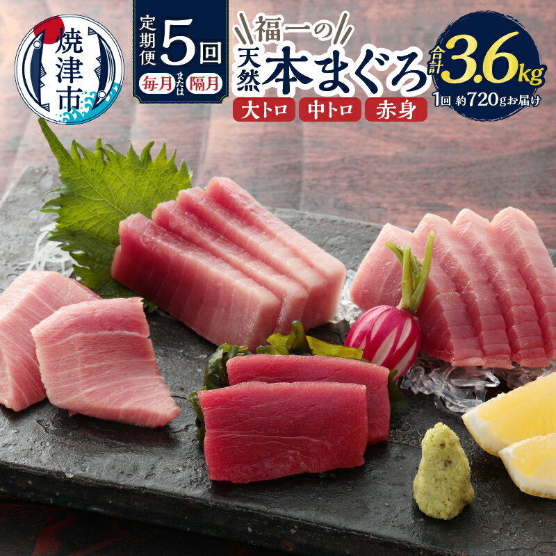 【ふるさと納税】 定期便 マグロ 大トロ 中トロ 赤身 天然本マグロ 冷凍 焼津 半年間お届けコース【定期便5回連続、隔月選べる】（b200-036）