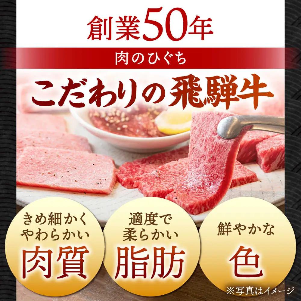 【12回定期便】【飛騨牛】切り落とし 総計6kg 〈1回あたり〉500g (250g×2) [TDC012] 切り落とし