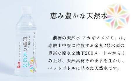 水 ミネラルウォーター 天然水 アカギノメグミ 500ml×1ケース 24本 12L｜ 水 水 水 水 水 水 ﾐﾈﾗﾙｳｫｰﾀｰ ミネラルウォーター