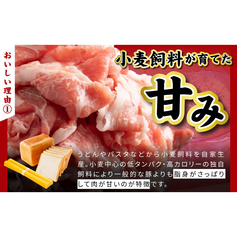 【泉佐野ブランド豚】犬鳴豚餃子 100個【国産 豚肉 ぶたにく 犬鳴ポーク 焼くだけ 人気 総菜 冷凍】 099H4477_イメージ4