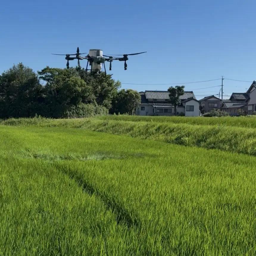 令和7年産　コシヒカリ　玄米30kg(30kg×1袋)│まるみや