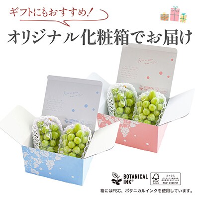【2025年発送】シャインマスカット 2房 (約1kg) 山梨県産フルーツ 人気のぶどう【配送不可地域：離島・沖縄県】
