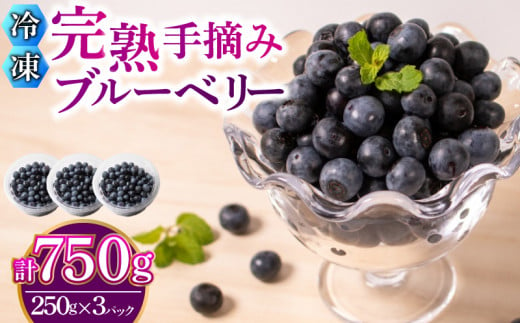 【先行予約受付】【数量限定】 冷凍 ブルーベリー 計 750g 手摘み 【2025年7月より順次発送】 ( 小分け フルーツ 果物 スイーツ デザート 国産 ベリー シャーベット アイス ジェラート ジャム パン パンケーキ ヨーグルト おやつ スムージー 朝食 無農薬 長期保存 ) 下関 山口