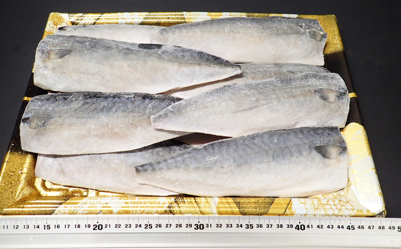 塩さばフィーレ12枚入×1P(計約1.6kg) G-11021