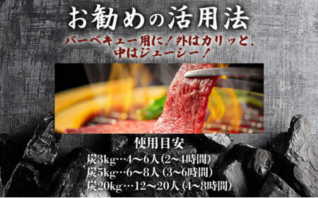 BBQ炭 上土佐備長炭（小サイズ）20kg 国産 東洋町産 白炭 高知県 東洋町 四国 家庭用 自宅用 キャンプ用品 送料無料 S180 【株式会社森海家】