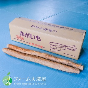 山形村産 ながいも 2-4L 約10kg 41-03