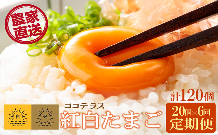 【6ヵ月定期便】ココテラスの紅白たまご　15個 + 5個保証（計20個）【JGAP認証】