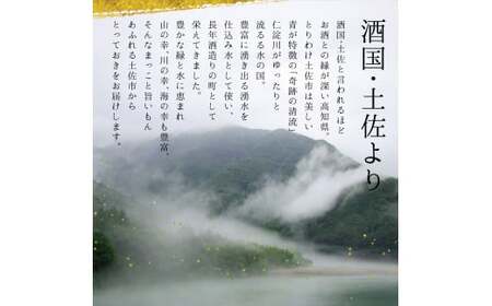 【3回定期便】純米吟醸生原酒 CEL-24 720ml 計2160ml ／ 生酒 毎月1本×3回 定期便 お酒 酒 さけ 日本酒 アルコール 生原酒 アルコール度数14度 14% 甘口 フルーティ【株