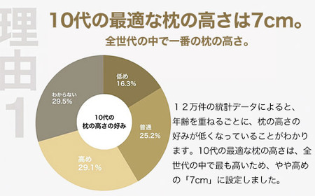 10代向けの枕 THE PILLOW Preset 16 10s《60日以内に出荷予定(土日祝除く)》
