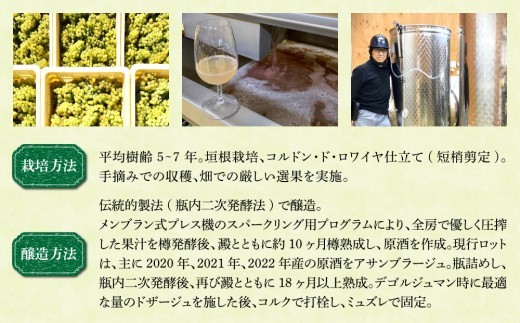 ※画像とはヴィンテージが異なる場合がございます