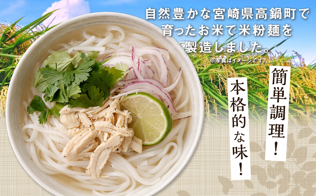 〈【6ヶ月 定期便】米粉麺 フォー 3食 セット（麺のみ +1パック）〉翌月末迄に順次出荷 本格 簡単 麺 スープ ライスヌードル