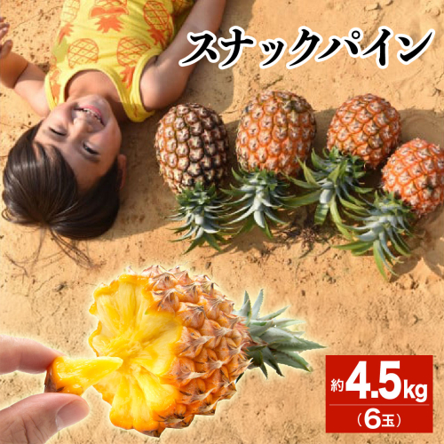 2026年 先行予約 スナックパイン 約4.5kg 6玉 西表島ひらい農園 パイナップル 果物 フルーツ パイン 027-a010_2026