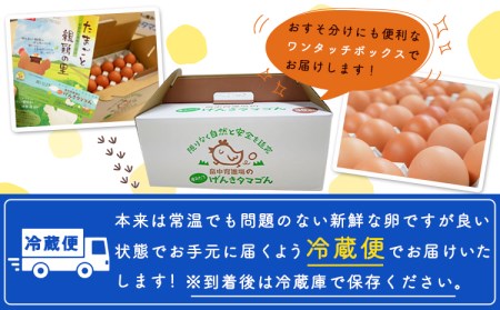 畠中育雛場のげんきタマゴん 80個 《30日以内に出荷予定(土日祝除く)》福岡県 鞍手郡 小竹町 卵 送料無料 有限会社畠中育雛場