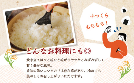24-148．【令和6年産新米・早期受付】四万十のこしひかり5kg【2024年9月より順次配送】