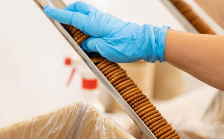 ミレーフライ　【500ｇ×5袋入】