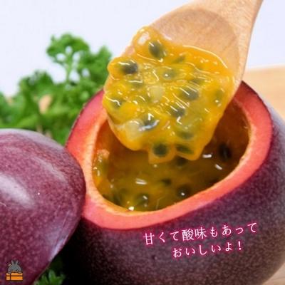 ふるさと納税 徳之島町 《2026年6月〜7月配送!》太陽が育てた徳之島産パッションフルーツ(2kg) |  | 01