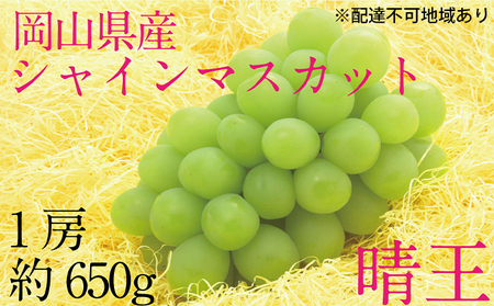 ぶどう 2026年 先行予約 シャイン マスカット 晴王 1房 約650g ブドウ 葡萄  岡山県産 国産 フルーツ 果物 ギフト 