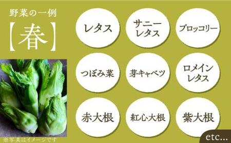 【全12回定期便】農家が選ぶ！ 旬の新鮮野菜セット[VBE010]産直 野菜 やさい 詰め合わせ