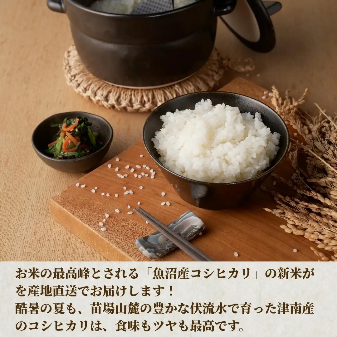 【令和7年産】魚沼（津南）産コシヒカリ 10kg（5kg×2袋）(有)フジミヤ |津南町 魚沼産コシヒカリ