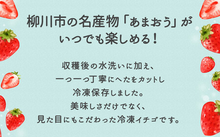 冷凍あまおう 1.2kg (400g×3) いちご