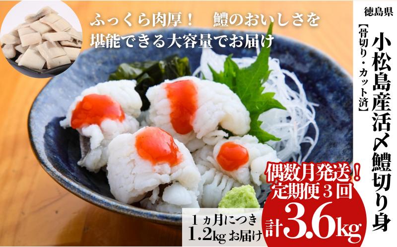 
                  【偶数月 3回 定期便】鱧 ハモ はも 国産 切り身 計3.6kg （1.2kg×3ヵ月）冷凍 徳島県産 活き〆 骨切り 湯引き カット済 産地直送 魚介 海産物 魚 切り身 天然鱧 お取り寄せ グルメ 湯引き 蒲焼き 天ぷら しゃぶしゃぶ 鍋 お吸い物 酒蒸し お取り寄せ グルメ hamo ※北海道・沖縄・離島への配送不可 ※配達指定不可
                