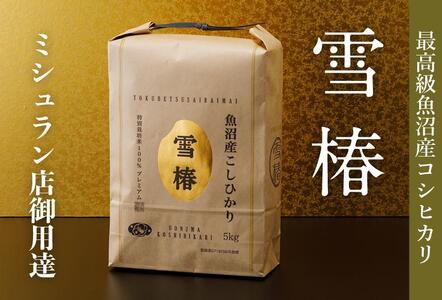 最高級魚沼産コシヒカリ「雪椿」5kg (5kg×1袋) 特別栽培米