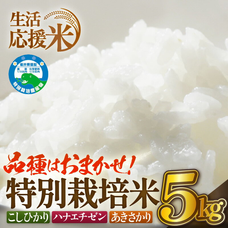 【ふるさと納税】【生活応援米】令和7年産 米 特別栽培米 5kg 福井県越前町産【選べる精米方法：白米/玄米】【お米 コメ kome 5キロ 家庭用 農薬5割減】