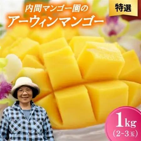【2026年7月から順次発送・特選】内間マンゴー園のアーウィンマンゴー1kg(2～3玉)【配送不可地域：離島】【1695327】