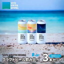 【ふるさと納税】SOUTH HORIZON BREWING　(B)クラフトビール（500mL缶）飲み比べ3本セット(3種類） | お酒 さけ 人気 おすすめ ギフト　ビール　クラフトビール　高知　500ml　缶　飲み比べ