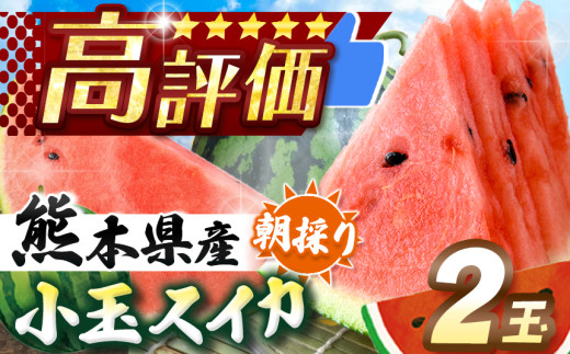 【 順次出荷中！ 】小玉スイカ（赤色）2玉 熊本県和水町産 【2026年（令和8年）4月中旬〜6月頃まで順次発送】 | 熊本県 熊本 くまもと 和水町 なごみまち なごみ すいか スイカ 西瓜 小玉 2玉 期間限定 季節の果物 果物 フルーツ 産地直送