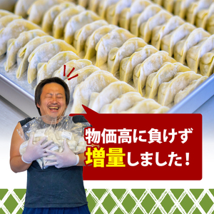 訳あり 餃子 にんにく 105個 （15個入り×7パック）餃子