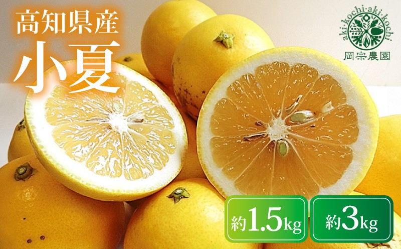 
            【先行予約】【令和8年産】 小夏 1.5kg 3kg フルーツ 果物 みかん 期間限定 旬 柑橘 ギフト プレゼント 贈答用 こなつ 日向夏 ニューサマーオレンジ デザート スイーツ ジューシー 甘酸っぱい 爽やか 初夏 高知特産 季節の味覚 家庭用 自宅用 贈り物 お取り寄せ 産地直送 メリーガーデン 高知県産 安芸市 高知県
          