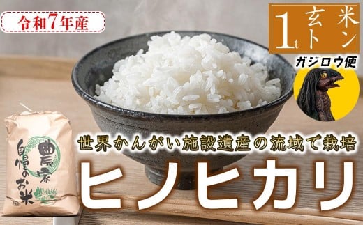 
                  【 玄米 数量限定 選べる配達員】令和7年産　ヒノヒカリ 八千種米　お米 約1000kg　ごはん　兵庫県産　世界かんがい施設遺産登録『西光寺野疏水路』
                