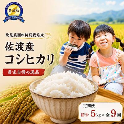 ふるさと納税 佐渡市 【発送月固定定期便】特別栽培米佐渡産コシヒカリ　精米5kg　全9回