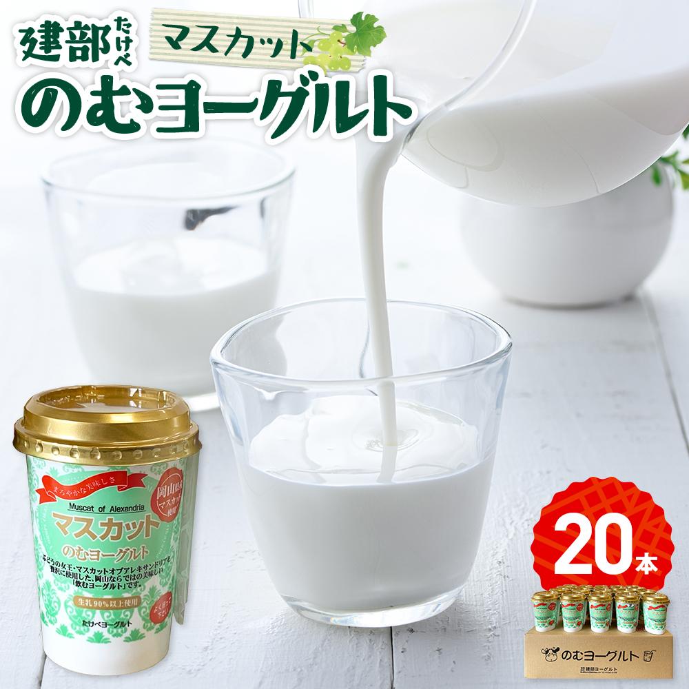 【ふるさと納税】建部のむヨーグルト（マスカット）20本 | お菓子 菓子 おかし デザート 食品 人気 おすすめ 送料無料
