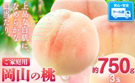 桃【2025年先行予約】桃 岡山の桃 約750g 《2025年6月下旬-9月上旬頃出荷》 ご家庭用 訳あり 白桃 岡山 旬 モモ もも 先行予約 送料無料 果物 岡山県 笠岡市 清水白桃 白鳳 白麗 クール便