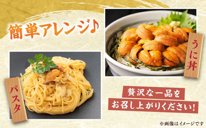 壱岐産 冷凍 生うに 60g×1本《壱岐市》【馬渡水産】 生ウニ うに ウニ 雲丹 紫うに ムラサキウニ 海鮮 希少 冷凍配送 [JAQ011]