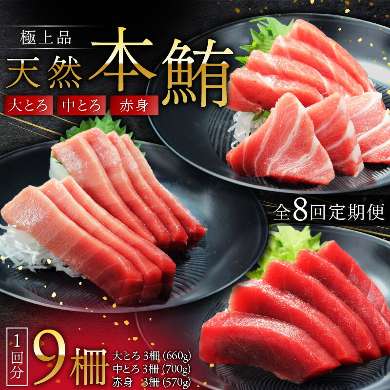 【ふるさと納税】【全8回 定期便】 極上品 天然 本鮪 大とろ 3柵 中とろ 3柵 赤身 3柵 まぐろ マグロ 鮪 定期 三崎 三崎港 海鮮 魚 魚介 母の日 父の日 敬老の日 オーシャン・グロウ 神奈川 三浦市 おすすめ ランキング プレゼント ギフト
