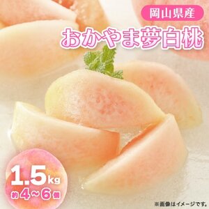 【先行予約】2026年8月上旬頃より発送予定・岡山の白桃・おかやま夢白桃(1.5kg箱)【配送不可地域：離島】【1580278】