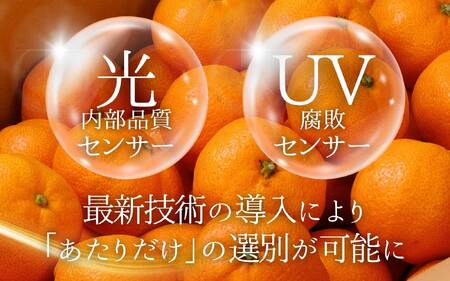 ＼光センサー選別／極 有田みかんプレミアム 10kg【選りすぐりの上位20％をお届け】2S～Lサイズ 有機質肥料100% ※※2026年11月～2027年1月に順次発送予定 ※北海道・沖縄・離島への配