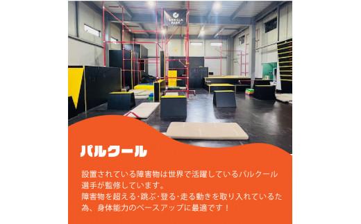 ゴリラパーク 体験チケット 一般 大阪府 松原市 パルクール アスレチック トレーニングジム バスケットボール ファミリー アクティビティ ダイエット 健康 スポーツ バスケ ボール トレーニング フ