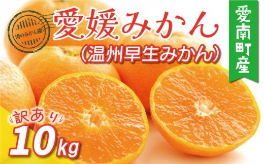 
                  先行予約 訳あり 愛媛みかん （ 温州 早生 みかん ） 10kg 12000円 愛媛 みかん 温州みかん 早生 みかん こたつ わけあり みかん 愛媛みかん 愛媛蜜柑 愛媛ミカン うんしゅう みかん mikan 果物 フルーツ 柑橘 濃厚 甘い 甘味 蜜柑 産地直送 農家直送 数量限定 国産 愛媛 愛媛県産 おいしい 規格外 サイズ ミックス 小玉 含む 渚のみかん園 愛南町 愛媛県
                